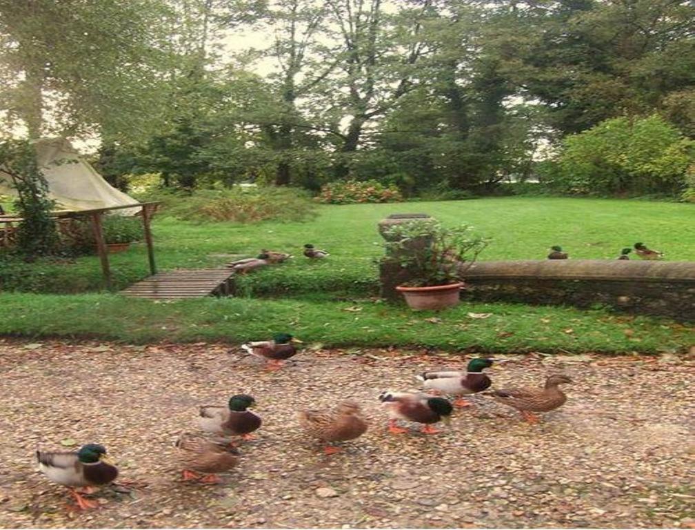 Le Moulin Fleuri Du Petit Appeville Dış mekan fotoğraf