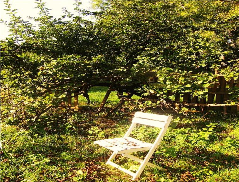 Le Moulin Fleuri Du Petit Appeville Dış mekan fotoğraf