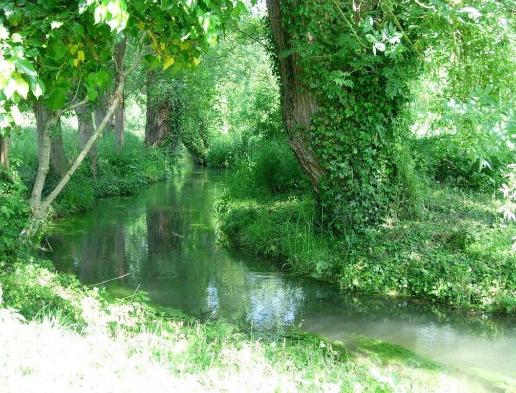Le Moulin Fleuri Du Petit Appeville Dış mekan fotoğraf